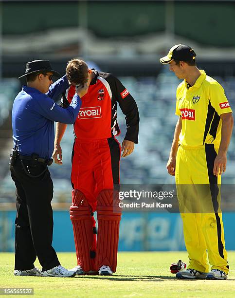 Kane Richardson of the Redbacks receives treatment from umpire Nathan Johnstone after getting struck in the head by the ball during the Ryobi Cup One...