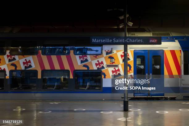 Regional express train from the Provence-Alpes-Cote d'Azur region is seen at the Gare Saint-Charles.