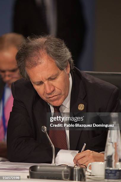 Foreign Affairs Minister for Uruguay Luis Almagro attends a plenary session during the last day of the XXII Ibero-American Summit at Congress Palace...