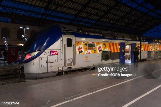 Regional express train from the Provence-Alpes-Cote d'Azur region is seen at the Gare Saint-Charles.