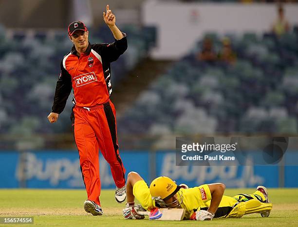 Michael Klinger of the Redbacks celebrates the run out of Nathan Coulter-Nile of the Warriors during the Ryobi Cup One Day match between the Western...