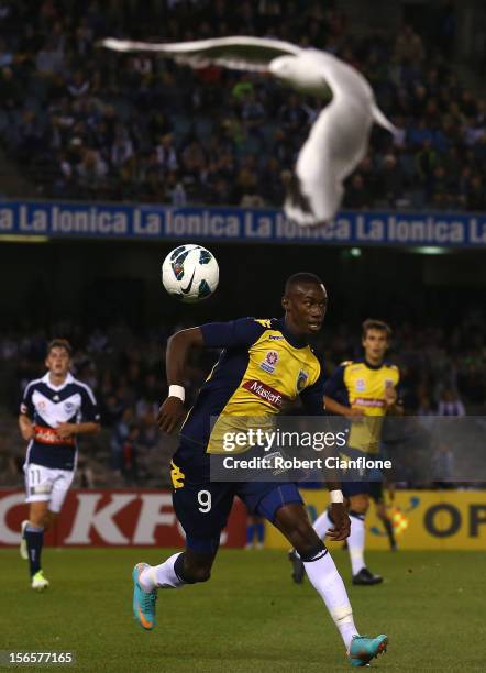 Bernie Ibini of the Mariners competes for the ball during the round seven A-League match between the Melbourne Victory and the Central Coast Mariners...