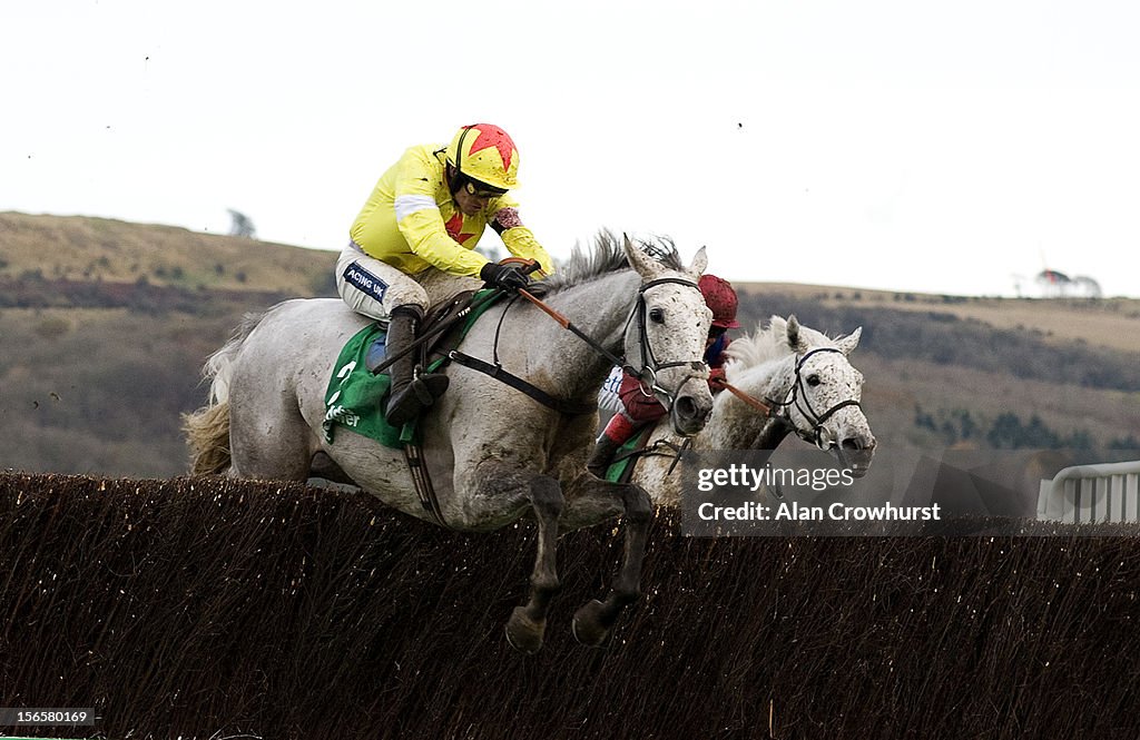 Cheltenham Races