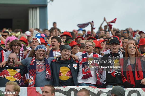 Red Bulls fans cheer during the game against the Philadelphia Union at PPL Park on October 27, 2012 in Chester, Pennsylvania. The Red Bulls won 3-0.