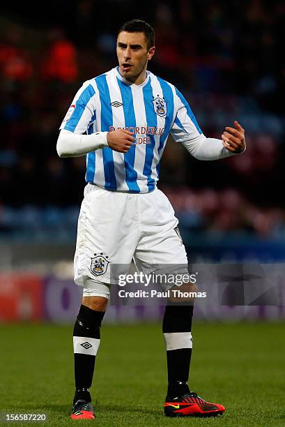 Lee Novak of Huddersfield Town during the npower Championship match between Huddersfield Town and Brighton & Hove Albion at the John Smith's Stadium...