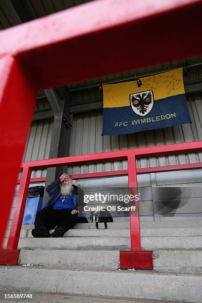 An AFC Wimbledon fan finds a position to watch the npower League Two match between AFC Wimbledon and Aldershot Town at the Cherry Red Records Stadium...