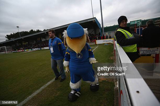Wimbledon's Womble mascot 'Haydon' entertains the crowds before the npower League Two match between AFC Wimbledon and Aldershot Town at the Cherry...