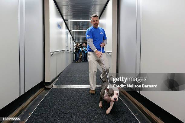 SeaWorld Rescue team member Jay Tacey helps a rescue dog board the Southwest Airlines flight. Sixty orphaned dogs and cats are being flown across the...