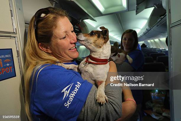 SeaWorld Rescue team member Anita Yeattes poses with a rescue dog. Sixty orphaned dogs and cats are being flown across the country from Newark...