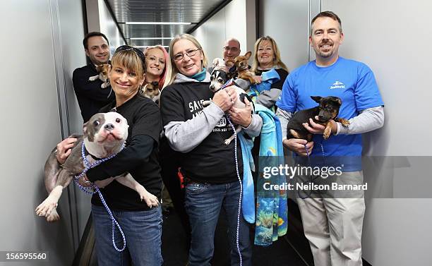 SeaWorld Rescue team members and Save A Pet team members pose with rescue dogs. Sixty orphaned dogs and cats are being flown across the country from...