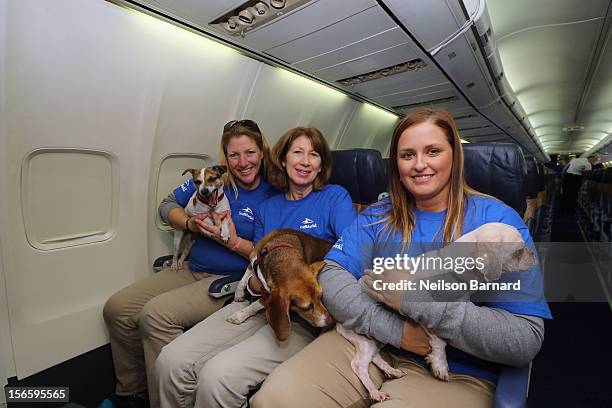 SeaWorld Rescue team members Anita Yeattes, Suzanne Pelisson Beasley and Jessica Decoursey pose with rescue dogs onboard the Southwest Airlines...