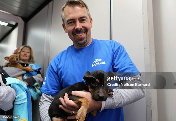 SeaWorld Rescue team member Jay Tacey helps a rescue dog board the Southwest Airlines flight. Sixty orphaned dogs and cats are being flown across the...