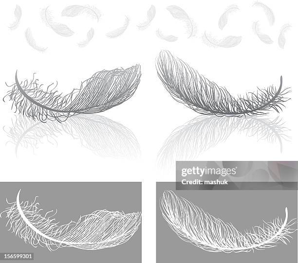 feather - falling feathers stock illustrations