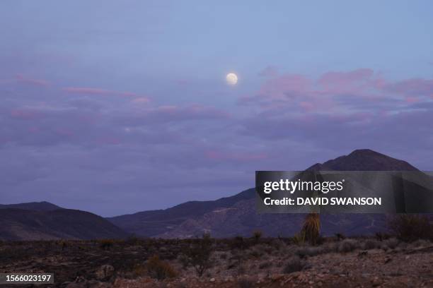 The moon rises above as the York Fire burns in the Mojave National Preserve on July 30, 2023. The York Fire has burned over 70,000 acres, including...