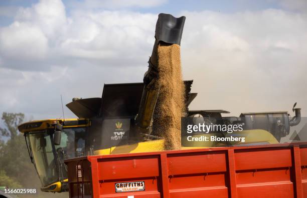 Farmer collects grain from a combine harvester during the wheat harvest on a farm near Chipping Ongar, UK, on Saturday, July 29, 2023. Wheat traded...