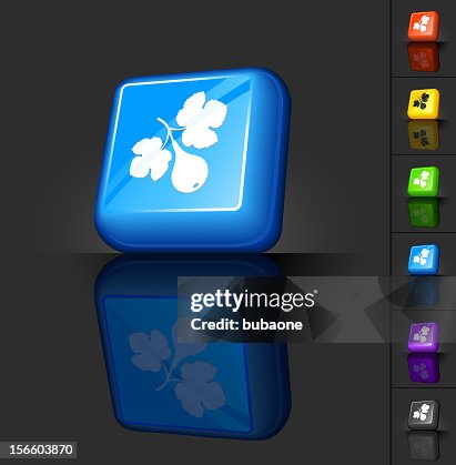 Fig Fruit And Leaves 3d Button Design High-Res Vector Graphic - Getty ...