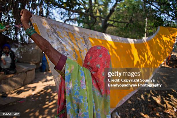 pink, yellow, green, blue - bengali sari stockfoto's en -beelden