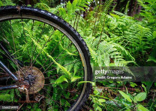 overgrown bicycle being reclaimed by nature - reclaimed stock pictures, royalty-free photos & images