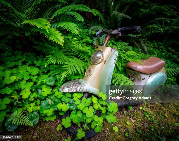 overgrown scooter being reclaimed by nature - reclaimed stock pictures, royalty-free photos & images