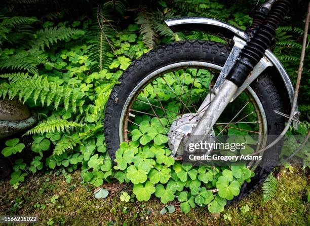 overgrown motorcycle being reclaimed by nature - reclaimed stock pictures, royalty-free photos & images