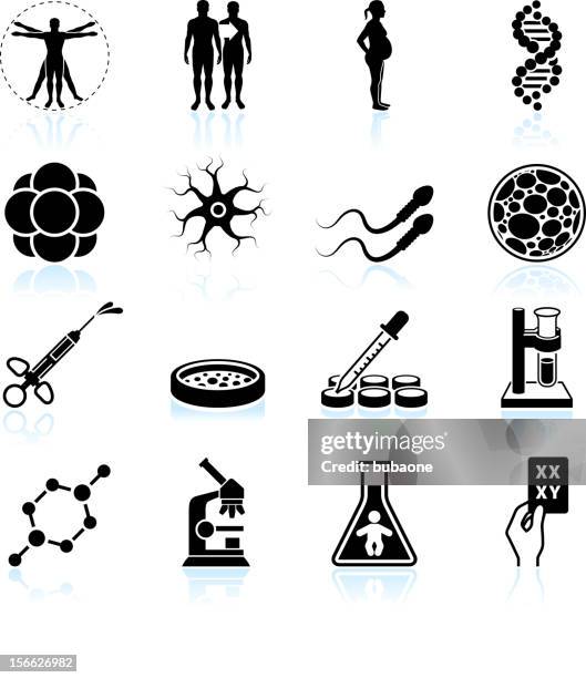 human pregnancy, fertility and cloning black & white icon set - male reproductive anatomy stock illustrations