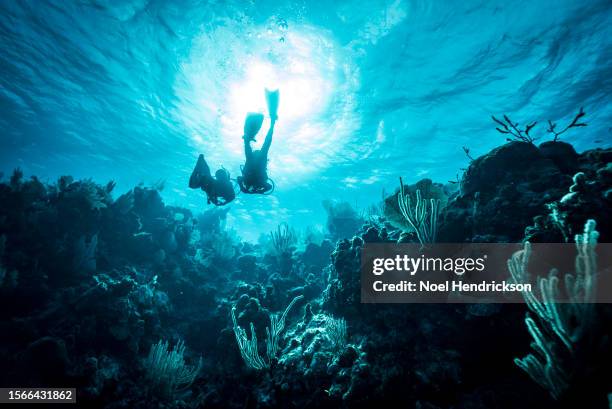 two divers swimming towards sunlight in coral reef - deep dive stock pictures, royalty-free photos & images