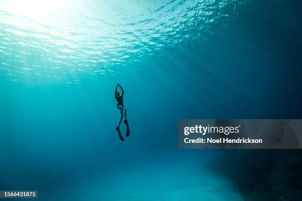 young man in deep tropical sea wearing flippers - plongée sous marine photos et images de collection