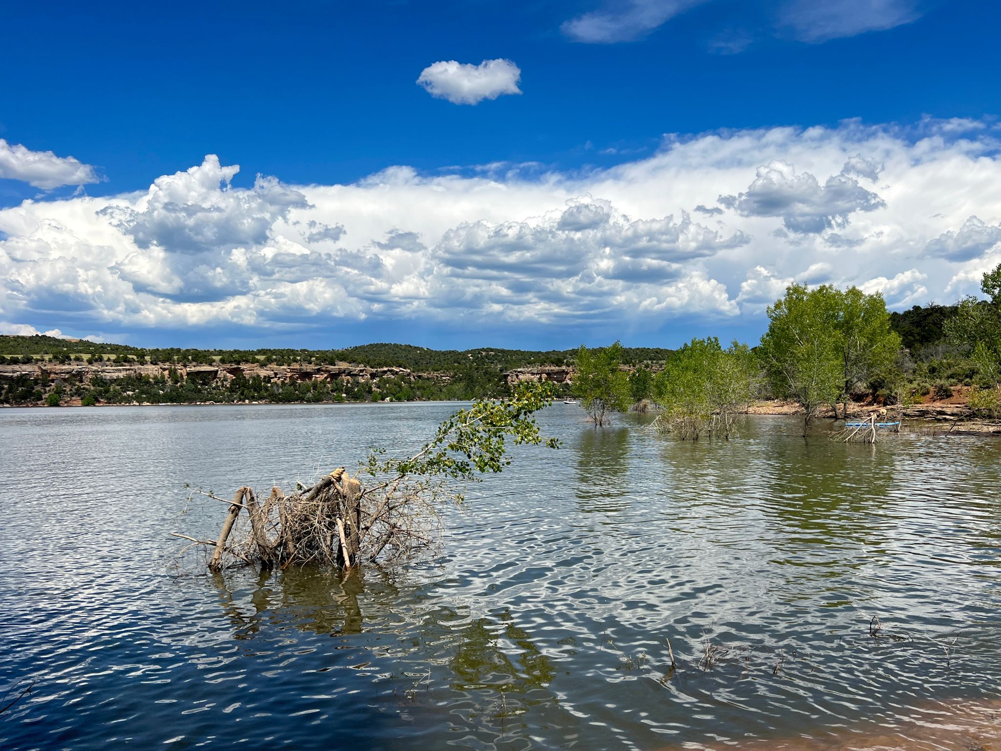 fruita skyline