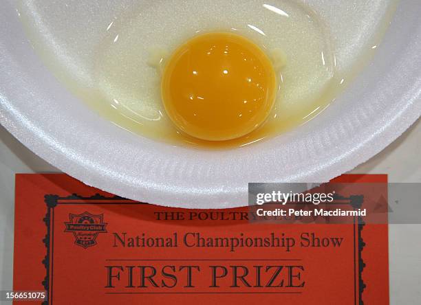 An egg wins first prize in the egg competition at The National Poultry Show on November 17, 2012 in Stoneleigh, England.Thousands of people have...