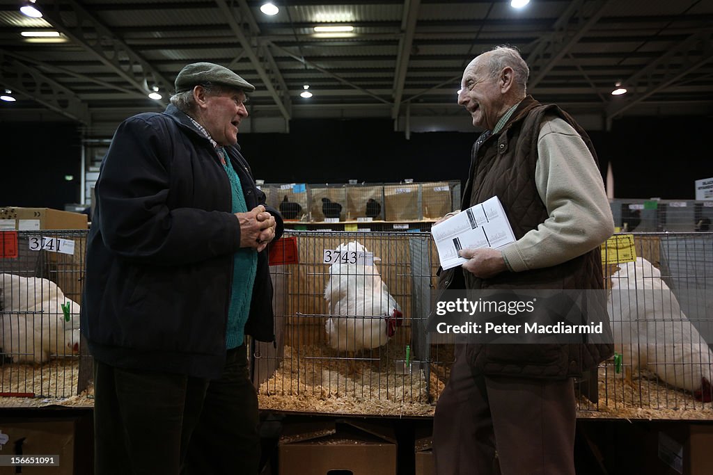 Enthusiasts Participate In The National Poultry Show