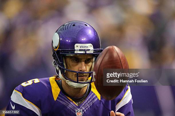 Chris Kluwe of the Minnesota Vikings looks on during the game against the Detroit Lions on November 11, 2012 at Mall of America Field at the Hubert...