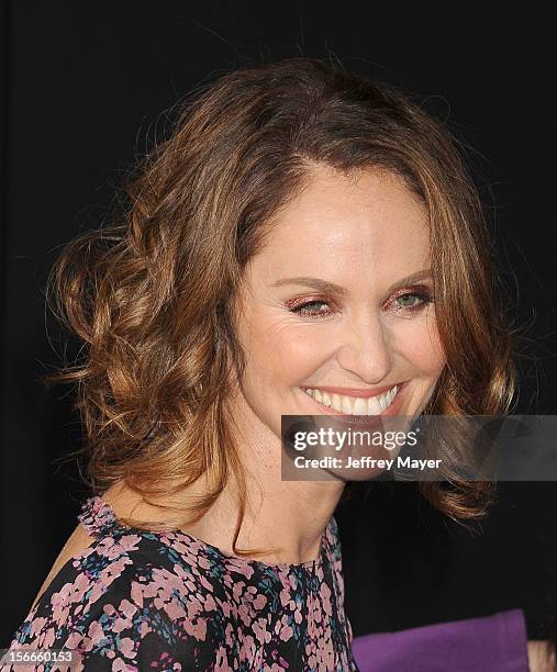 Amy Brenneman arrives at the Los Angeles premiere of 'Wreck-It Ralph' at the El Capitan Theatre on October 29, 2012 in Hollywood, California.