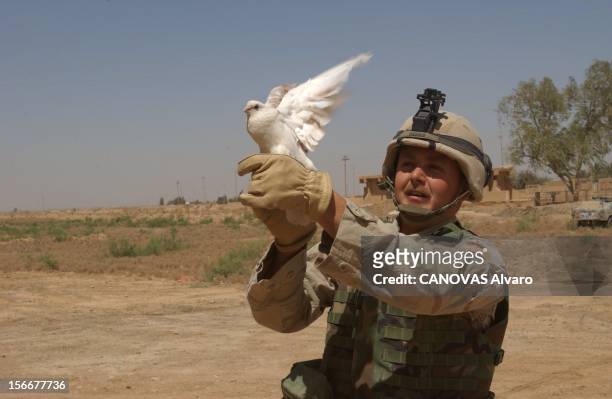 Iraq War: Mission Accomplished For The 41st. Reportage non légendé : un militaire du 41ème régiment d'infanterie posant avec une colombe sur la main.