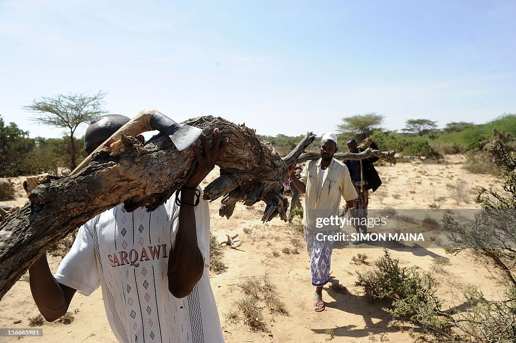 SOMALIA-SOMALILAND-ENVIRONMENT-FOREST-CHARCOAL