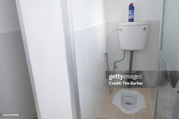 New toilet is presented at Le Thanh Van Primary School during a media briefing for World Toilet Day on November 19, 2012 in Vinh Long, Vietnam.