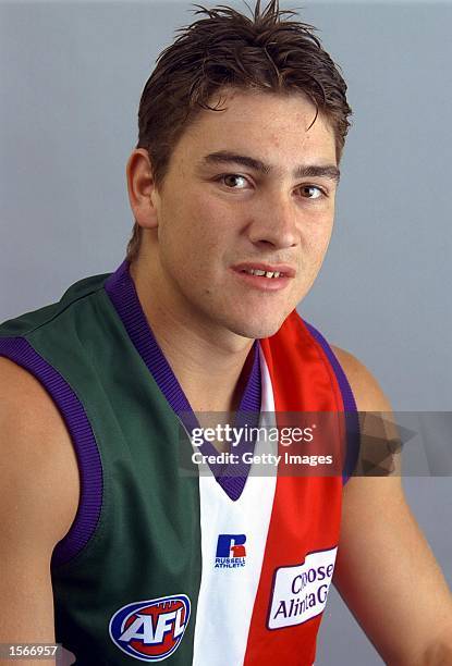 259 Andrew Shipp Stock Photos, HighRes Pictures, and Images Getty Images