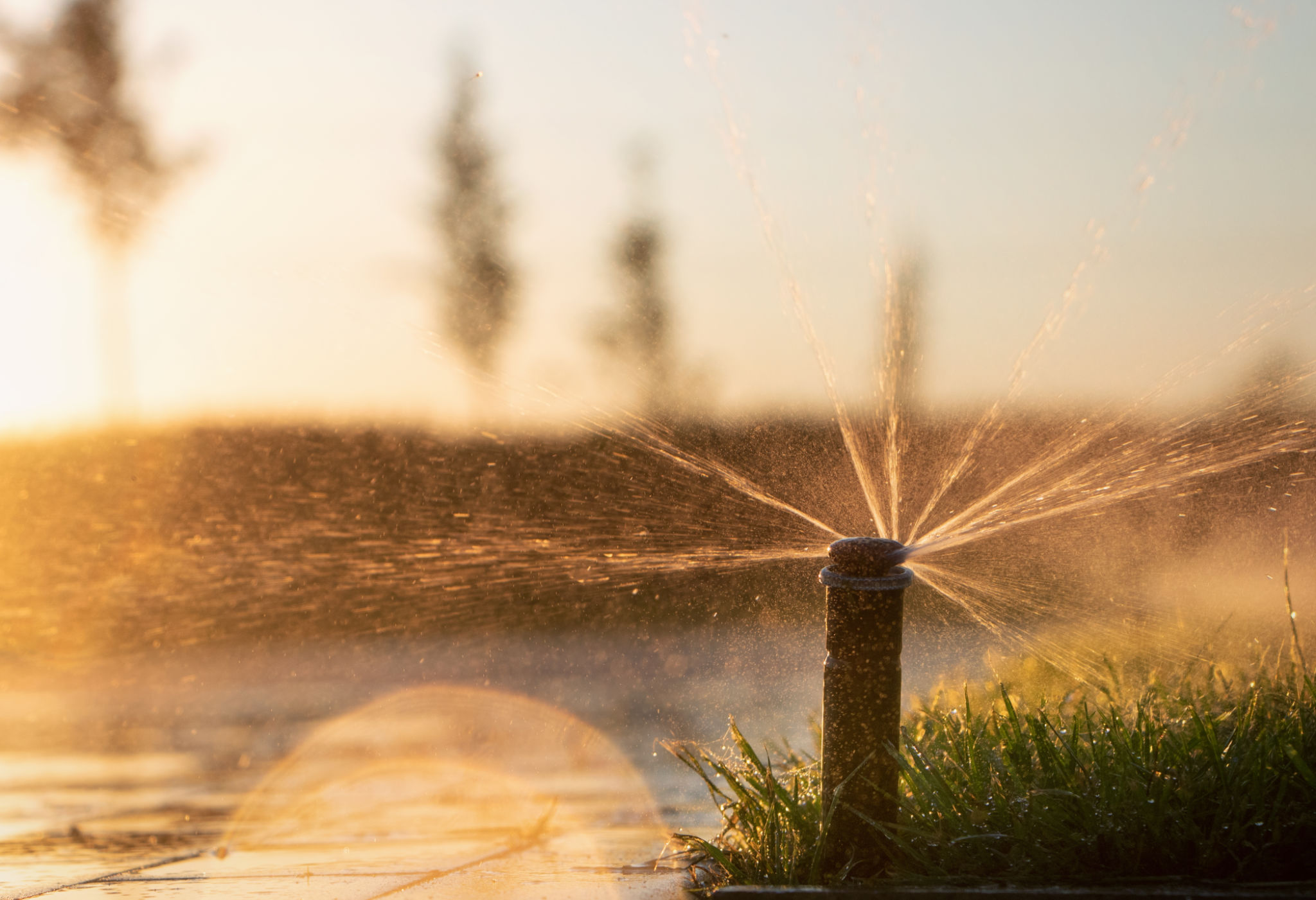 irrigation system
