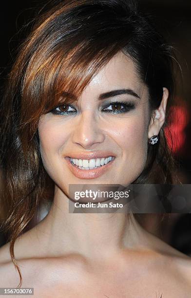 Actress Berenice Marlohe attends the 'Skyfall' Japan Premiere at Toho Cinemas Nichigeki on November 19, 2012 in Tokyo, Japan. The film will open on...