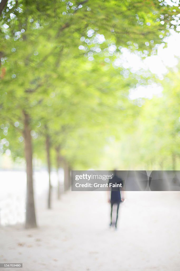 Man walking in theTuileries Garden, Paris