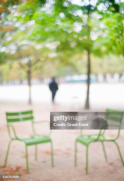 man walking in the tuileries garden, paris - jardim das tulherias imagens e fotografias de stock