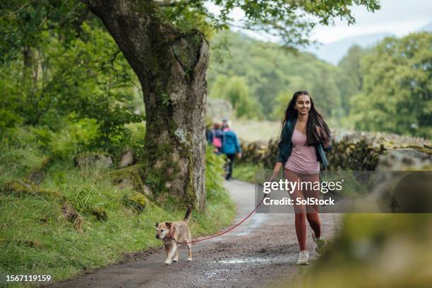 Do Walk Dog Walk Wood Photos and Premium High Res Pictures - Getty Images