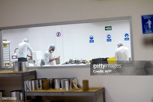 Employees work in the production line of the organic chewing gum at "Chicza" factory in Chetumal, Quintana Roo State, Mexico, on November 15, 2012....