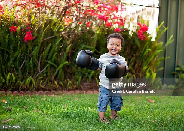 Boxing Baby 55 Baby Boxing Gloves Stock Photos, High-Res Pictures, and Images ...