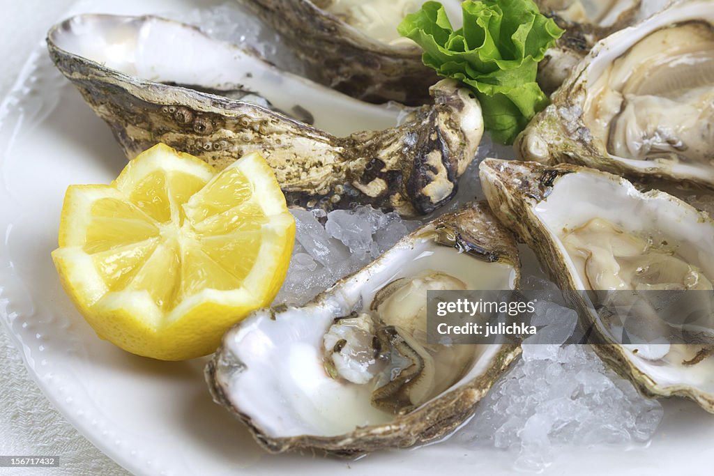 Close-up of raw oysters and lemon wedge served on plate