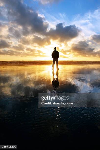 xxl solitude beach silhouette - thinking man cloud stockfoto's en -beelden