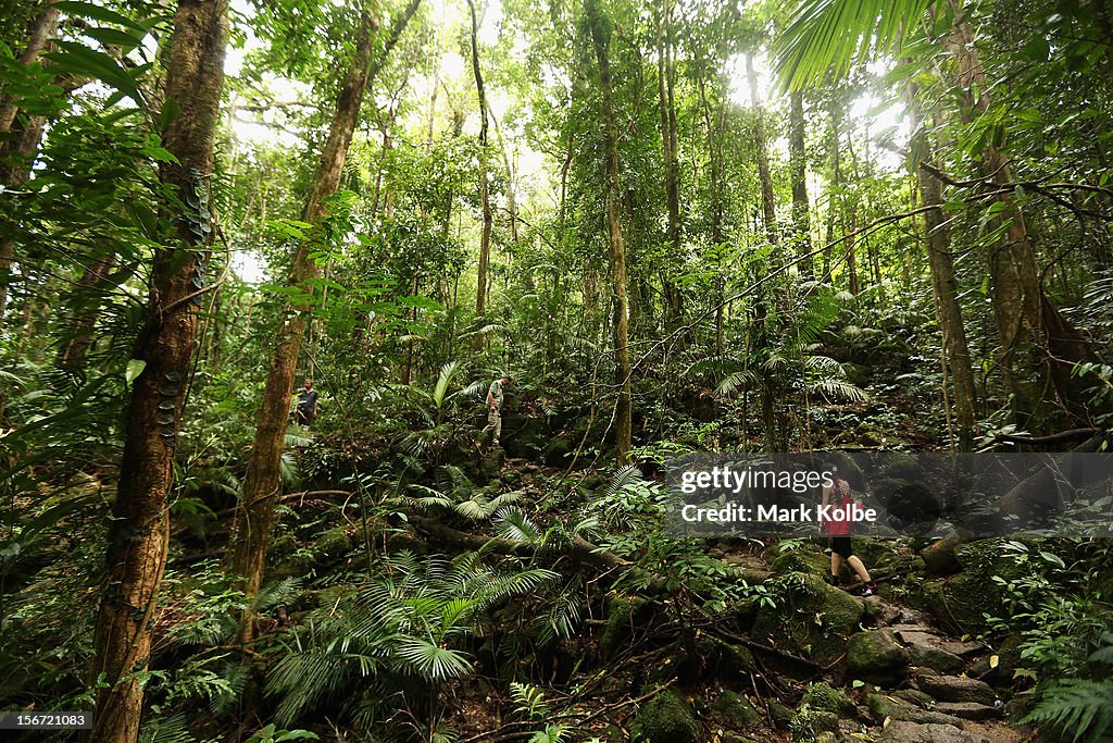 Scenes Of The Cairns Region