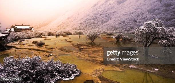 jiuzhaigou - peach blossom stock pictures, royalty-free photos & images