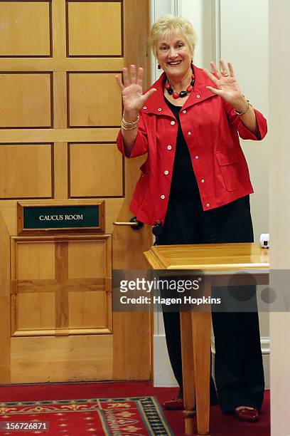 Labour MP Annette King waves to media while a Labour leadership meeting takes place at Parliament on November 20, 2012 in Wellington, New Zealand....