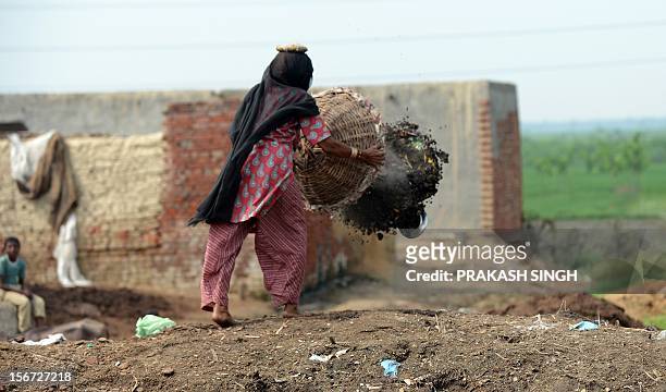 By Adam Plowright In this picture taken on August 10 60 year old manual scavenger Kela dumping a basket of human excrement after cleaning toilets in...