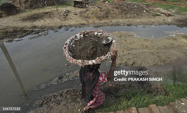 By Adam Plowright In this picture taken on August 10 60 year old manual scavenger Kela carrying a basket of human excrement her head after cleaning...